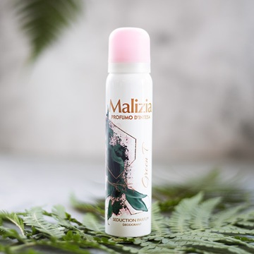 Набор из 4 дезодорантов-спрей Malizia PURPLE INTENSE BURLESQUE GREEN TEA