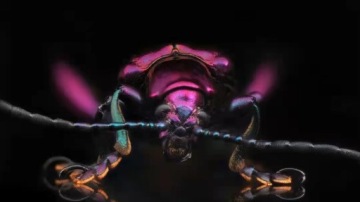 TTArtisan 40mm F2.8 Macro 1:1 Sigma Leica L-mount