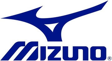 Мужская футболка Mizuno Pro Team Atlantic, размер L