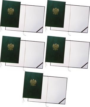 Okładka do dyplomów Warta A4 z orłem zielony x5