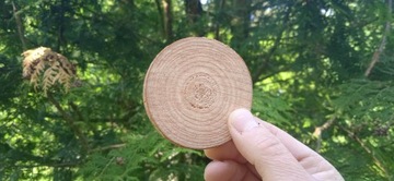 Деревянные диски, 200 шт, 2-7 см, ломтики, ломтики