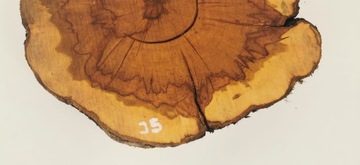 Ломтик яблока 42x40см, дерево для стола из смолы