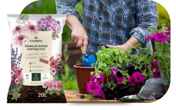 Цветы Субстраль Шторм Осмокот + грунт для балконных пеларгоний Сурфиналии