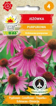 JEŻÓWKA RUDBEKIA PURPUROWA Toraf 1g