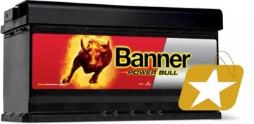BANNER POWER BULL 100AH 820A P+
