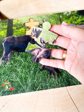 Деревянный пазл про лося, лесной пазл, набор