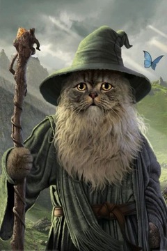 Catdalf plakat 61x91cm
