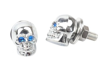 ВИНТ НОМЕРНОГО ЗНАКА С ЧЕРЕПОМ, ХРОМ