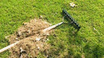 КОНЕЦ ДЛЯ АЭРАТОРА РУЧНОГО Скарификатора 100897