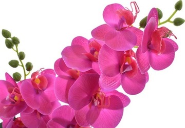 СИЛИКОНОВАЯ ОРХИДЕЯ ОРХИДЕЯ ЦВЕТОЧНЫЙ ГОРШОК ВАЗА ДЛЯ ЦВЕТОВ