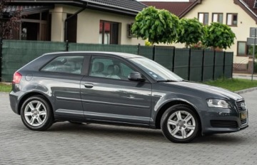 Audi A3 8P Hatchback 3d 1.6 TDI 105KM 2010 Audi A3 3-drzwiowe 1.6TDI 105KM DsG Skora Climatron Alu Po Serwisie Gwaran, zdjęcie 2