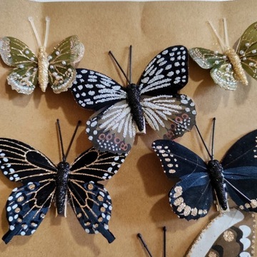 Mix motylków MOTYLE spinacz czerń brąz złoto 6szt