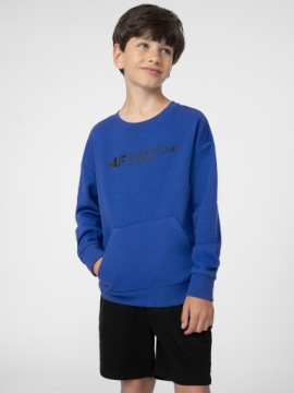 ДЕТСКАЯ ТОЛСТОВКА ДЛЯ МАЛЬЧИКОВ 4F TSWSM222 134