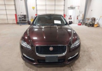 Jaguar XJ VII X351 2016 Jaguar XJ 2016 JAGUAR JAGUAR XJ R-SPORT - portal do licytacji bidusa.pl 3.0, zdjęcie 8