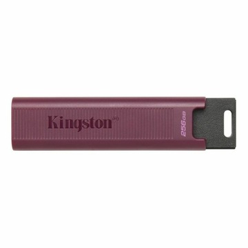Pamięć USB Kingston Max Czerwony 256