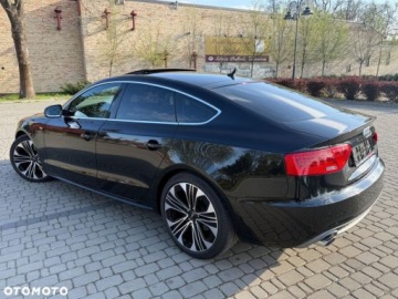 Audi A5 8T Sportback Facelifting 3.0 TDI 204KM 2014 Audi A5 Sportback Audi A5 Sportback 3.0 TDI 3.0 Diesel 204KM, zdjęcie 19