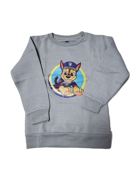 Bluza dziecięca Psi patrol rozm. 116 szary