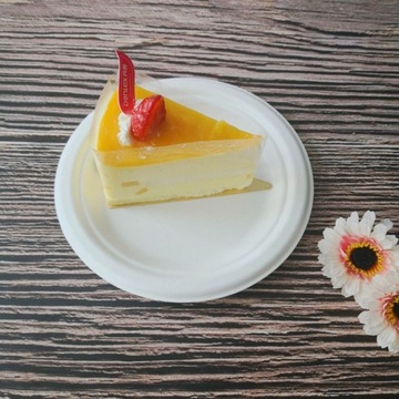 Круглые компостируемые тарелки в стиле синего пакета B