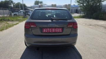 Audi A3 8P Hatchback 3d 1.2 TFSI 105KM 2011 Audi A3 Sportback Climatronic, zdjęcie 3