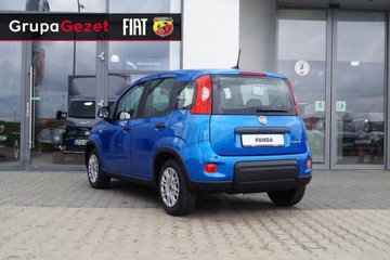 Fiat Panda III Hatchback 5d seria 5 1.0 GSE 70 KM 70KM 2025 Fiat Panda Pandina Icon 1.0 70 KM 5 miejsc Wyprzedaż, zdjęcie 4