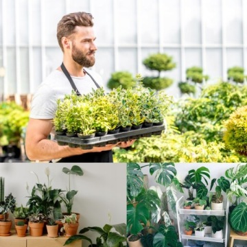 ФЕРТИЛИЗ для домашних растений кокосовое волокно кокосовый грунт 6 мм 4,5 кг 63 л