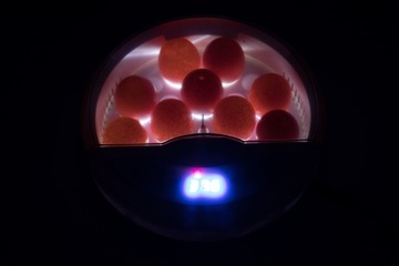 Автоматический инкубатор для инкубации яиц птицы HATTER FOR EGG 9 яиц