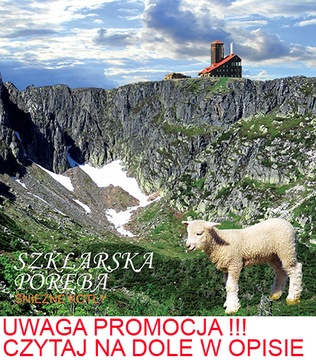 MAGNES NA LODÓWKĘ 3D SZKLARSKA PORĘBA