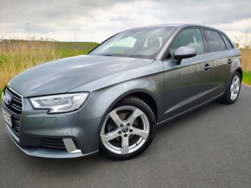 Audi A3 8V 2017 SPORTLINE LIFT PERFEKCYJNY STAN, zdjęcie 2