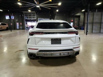 Lamborghini Urus 2021 Lamborghini Urus 2021 4.0l, od ubezpieczalni 4.0 Benzyna 641KM, zdjęcie 5