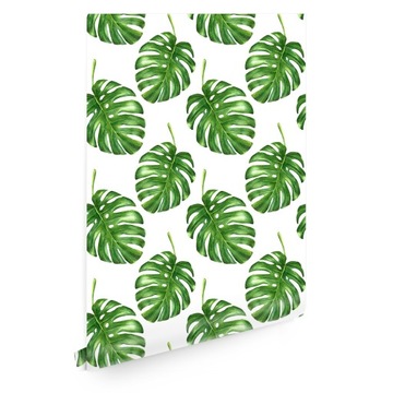Tapeta liście monstera dżungla T01208