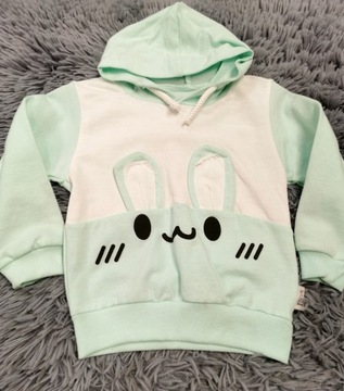 Справочный костюм установил 80 брюк и толстовку кролика