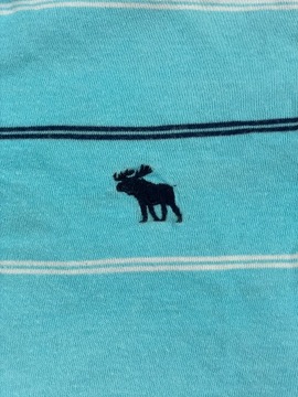 Abercrombie Polo Dziecięce Niebieskie Logo 15Y 16Y
