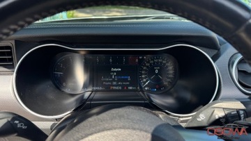 Ford Mustang VI Convertible Facelifting 5.0 Ti-VCT 450KM 2019 Ford Mustang 5.0v8 GT cabrio wersja Premium najbogatsza wersja 5.0 Benzyna, zdjęcie 11