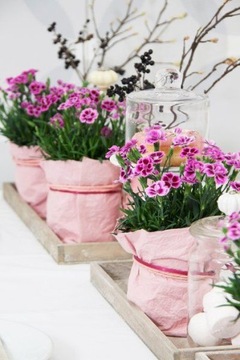 УНИВЕРСАЛЬНЫЙ грунт-субстрат для РАСТИТЕЛЬНЫХ ЦВЕТОВ 5л