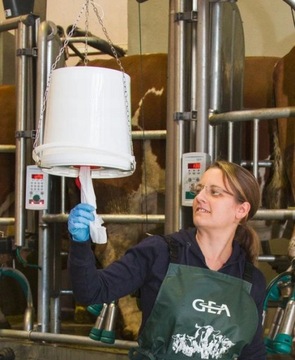 CHUSTECZKI RĘCZNIKI PAPIER DO MYCIA WYMION 800 SZT