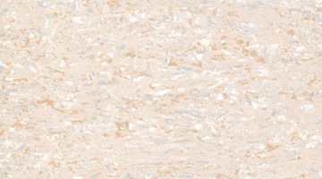 Wykładzina homogeniczna PCV Accord firmy Gerflor