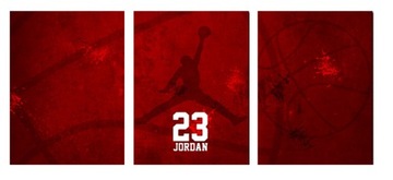 3x OBRAZ NA ŚCIANĘ JORDAN 20x30