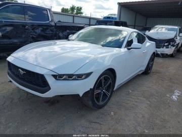 Ford Mustang VI 2024 Ford Mustang Ecoboost Fastback 2024 2.3l 2.3 Benzyna 315KM, zdjęcie 1