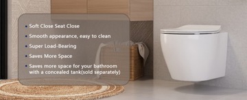 Подвесной унитаз DeerValley 1,6 GPF/1,1 GPF белый DV-1F0069