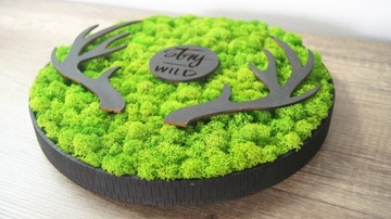 Картина круг со мхом, диаметр 40 см.