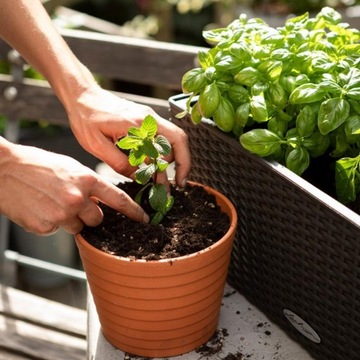 LECHUZA VEGGIE MON СУБСТРАТ 12 Л ВЕГАНСКИЙ