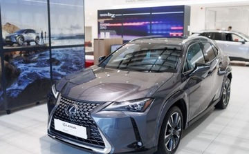 Lexus UX 2024 Lexus UX 300h Omotenashi AWD 2.0 Hybryda 152KM, zdjęcie 12