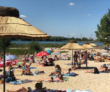 ПЛЯЖНЫЕ ЗОНТЫ под тростник В ПОДАРОК!