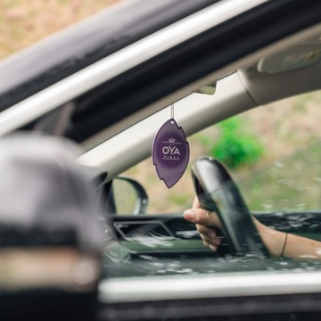 K2 OYA FAHREN ароматизатор для автомобильного освежителя воздуха