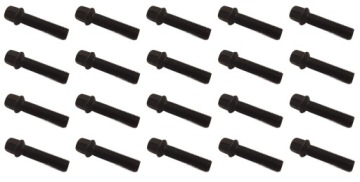 Šrouby 14x1,5x55 Černé Vw Passat Bora Golf Polo Seat Mercedes Audi 20x