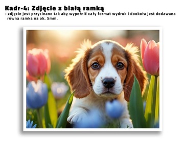 POWIĘKSZENIE ZDJĘCIA 60x60 Odbitka 1:1 ZDJĘCIE DO RAMKI plakat PÓŁMATOWY