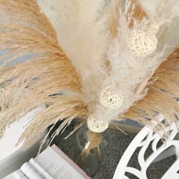 БУКЕТ СУШЕННАЯ ПАМПАССНАЯ ТРАВА БОЛЬШОЙ БЕЛЫЙ XXL 6 шт.