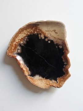 SKAMIENIAŁE DREWNO/ TALERZ / PATERA