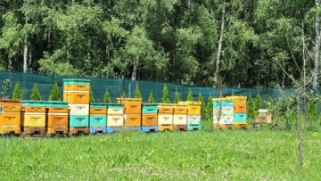 Восковая свеча Букет с розами ко Дню Святого Валентина