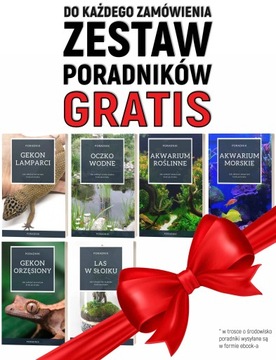 KORA Z DĘBU KORKOWEGO TUBA JASKINIA KORZEŃ